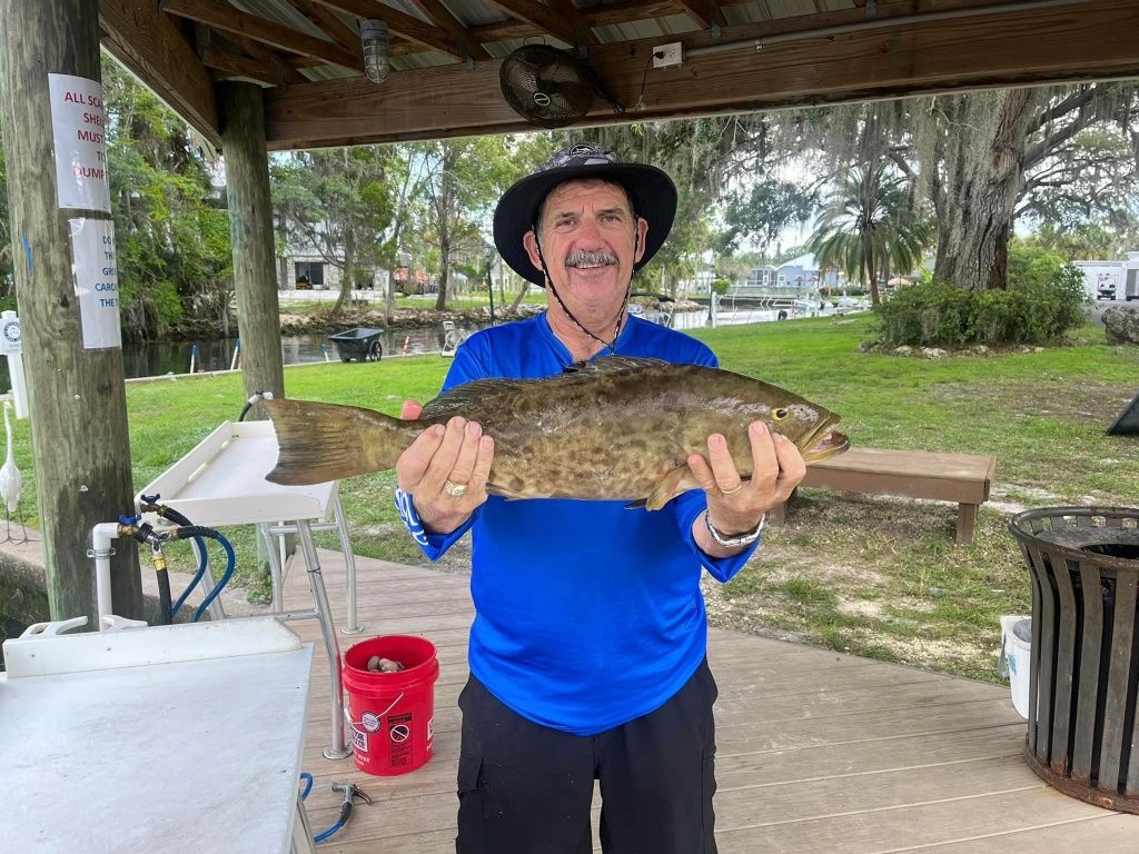 Grouper from Crystal River, FL