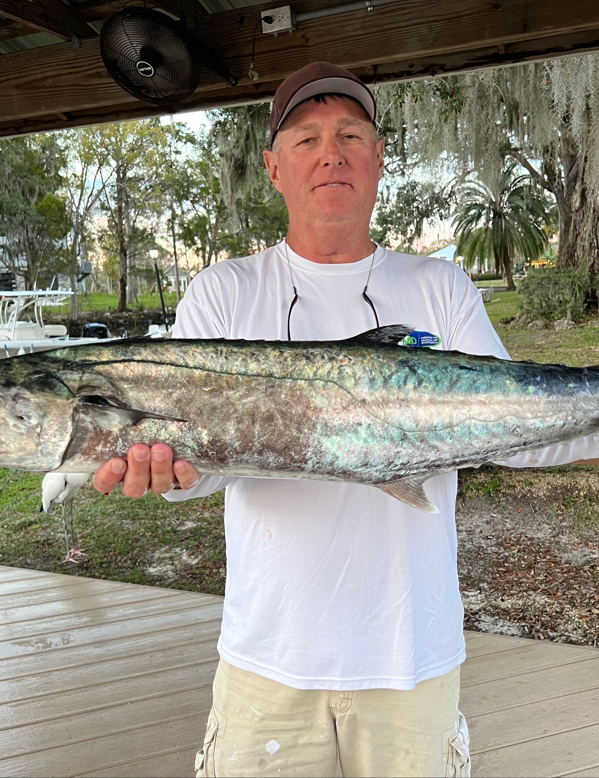 Nice kingfish caught in Crystal River, Florida!