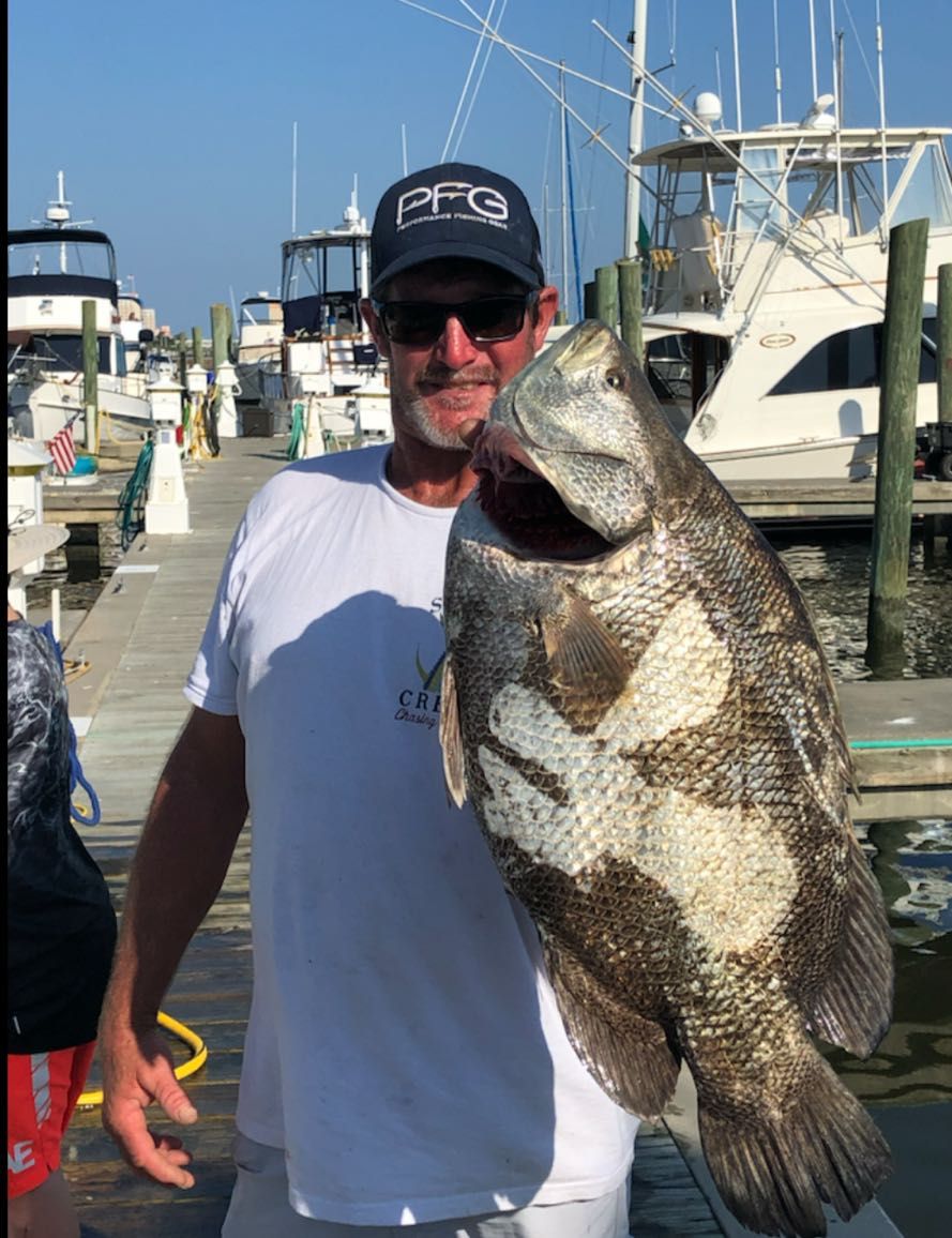 Shearwater Charters
