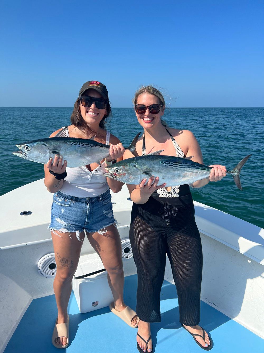 Tradewinds Fishing Charter Tampa Bay Fishing Charters | Fishing From Tarpon Springs to Sarasota  fishing Inshore