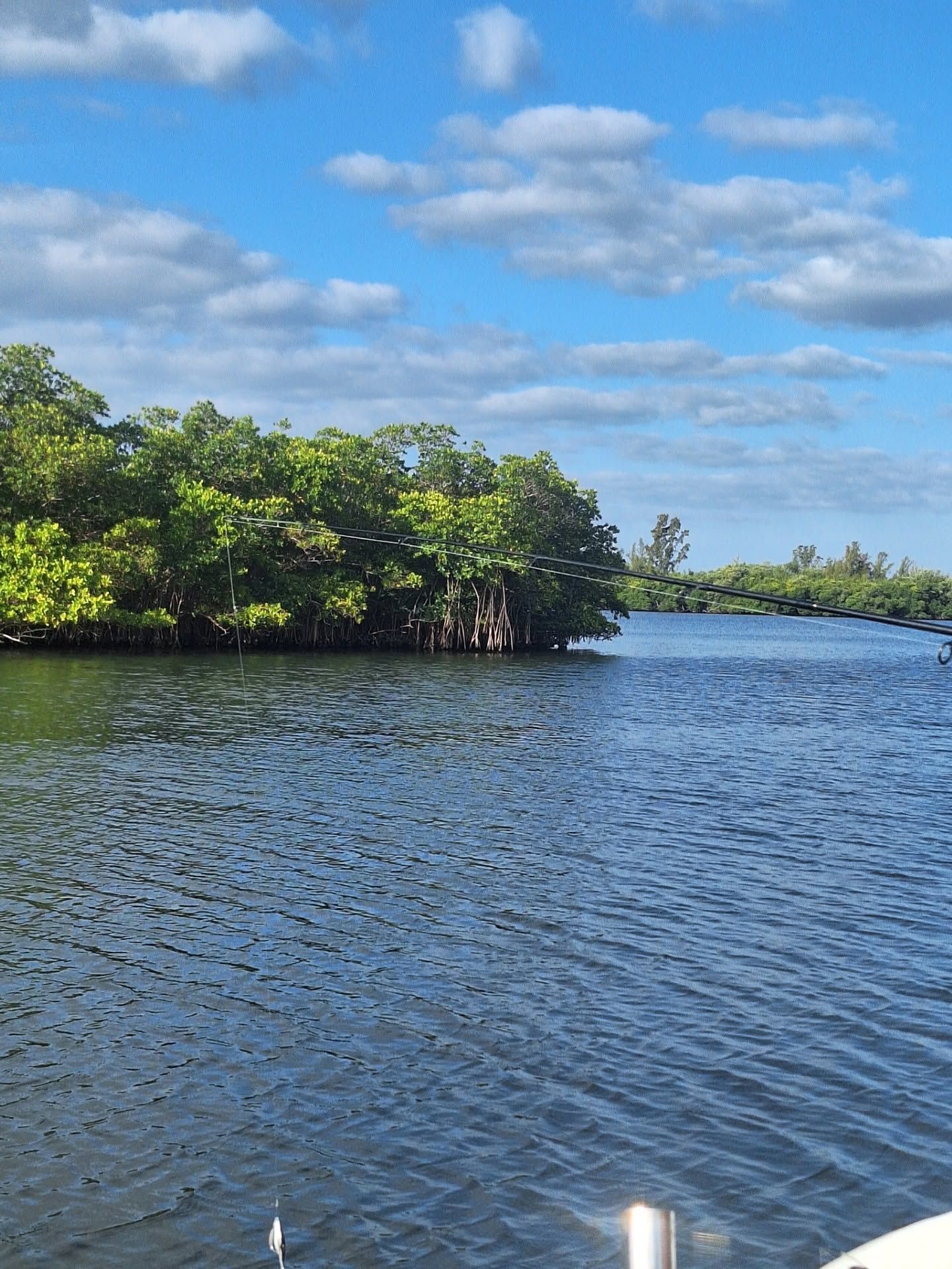Dolphin Wildlife Tour Vero Beach Don Nicely
