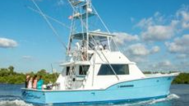 Chasin Finz II Sport Fishing