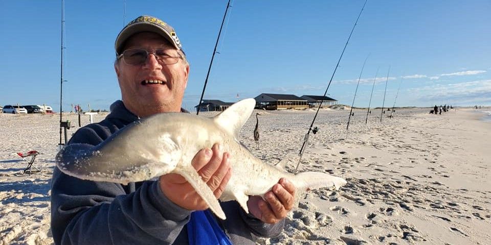 Expert-Guided Night Shark Fishing on Gulf Coast
