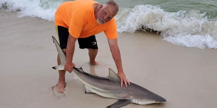 Land-Based Shark Fishing | Gulf Coast Adventure