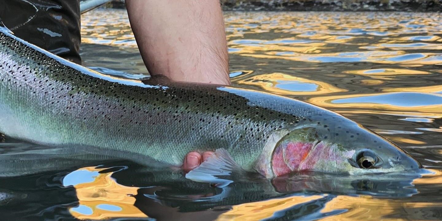 RiverRise Fishing Fishing Trips Alaska | Seasonal 5 Hour Trip fishing River