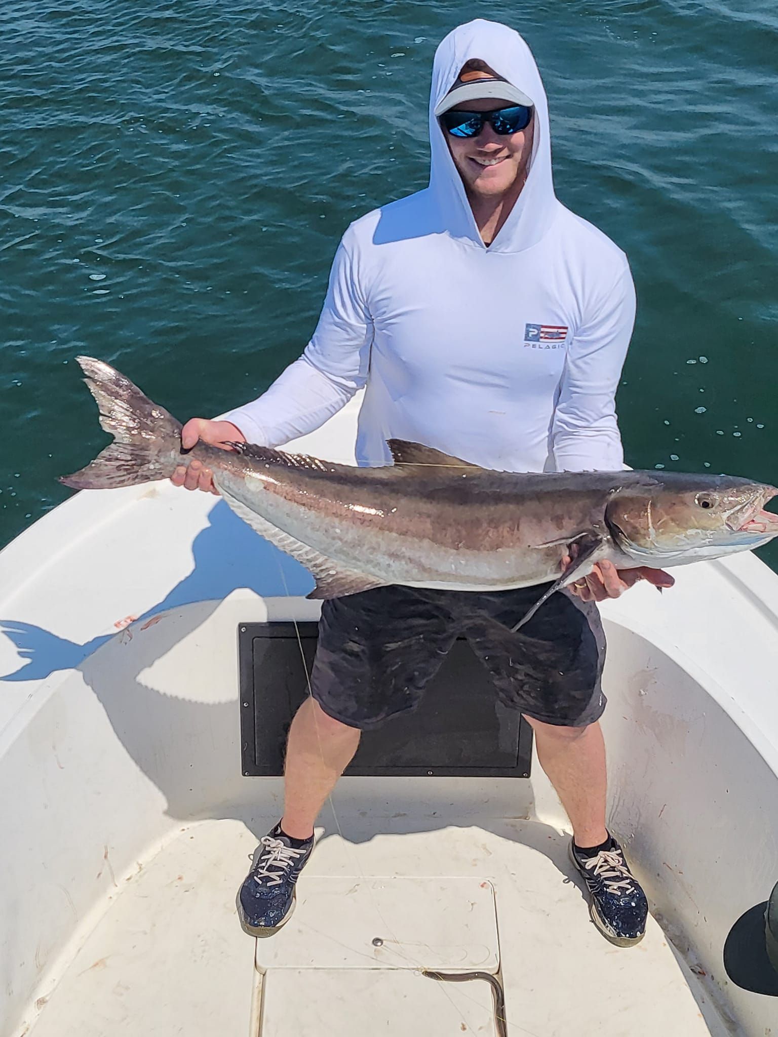 Cobia fishing fishing report coverpicture