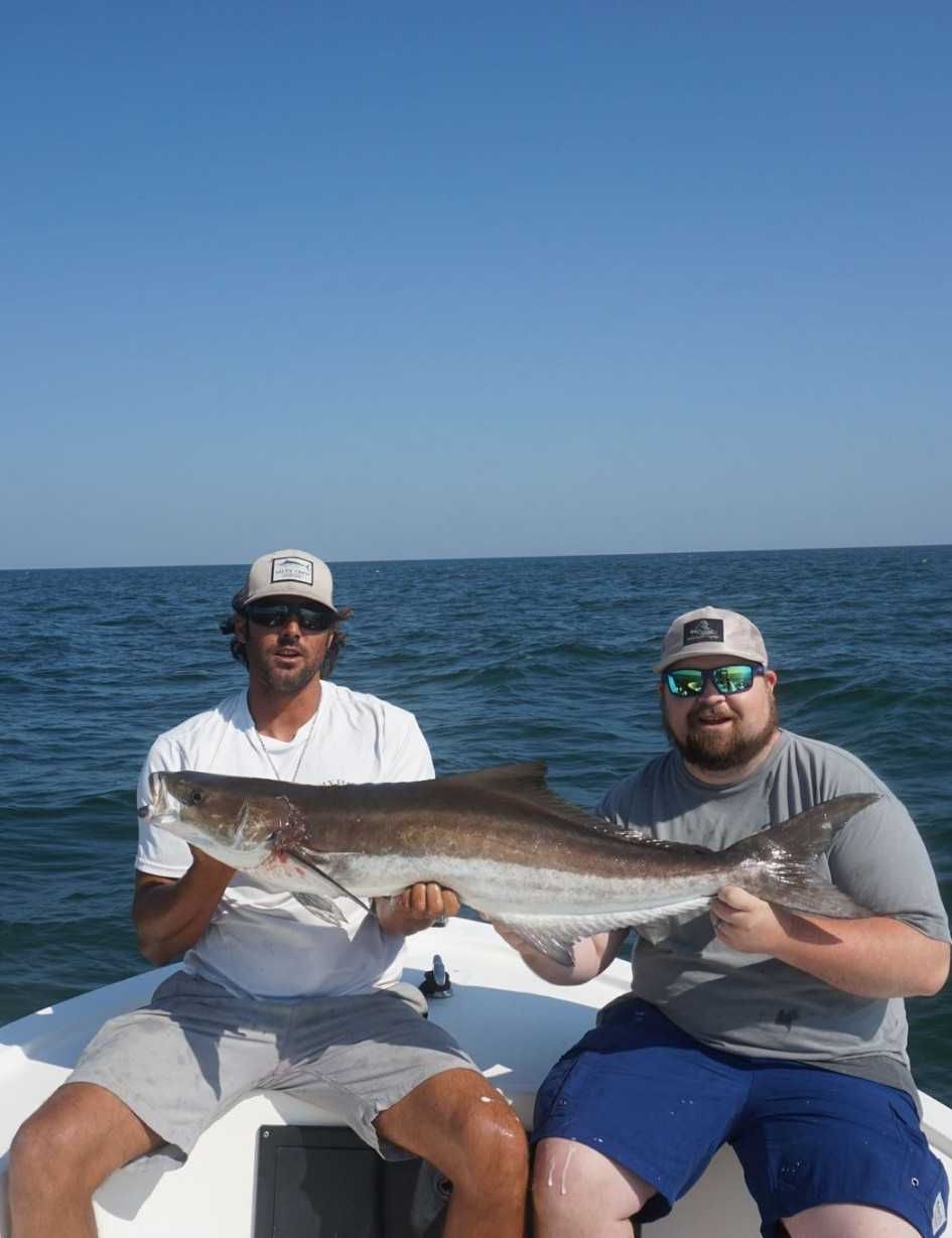 Cobia fishing report coverpicture