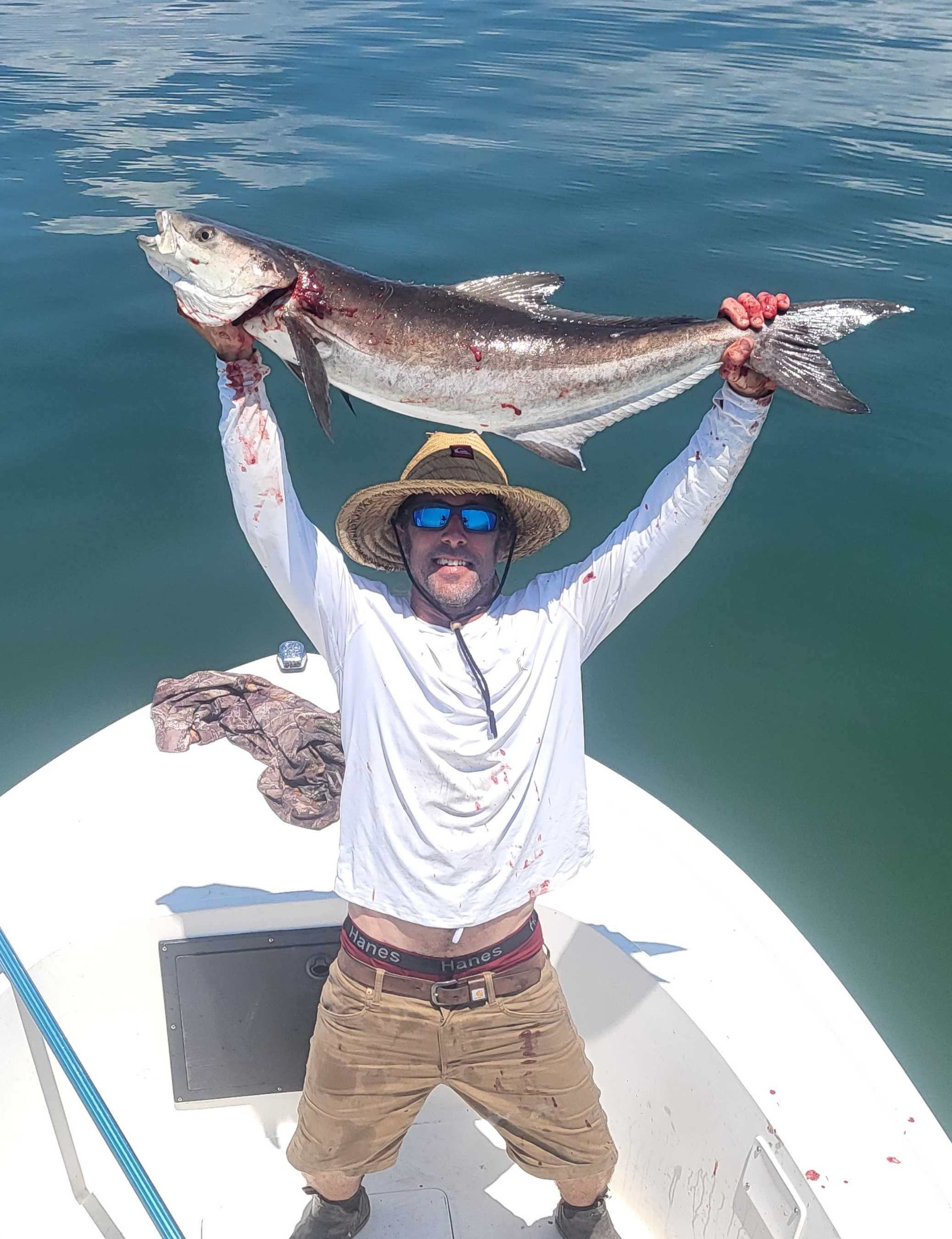 Cobia on the fly fishing report coverpicture