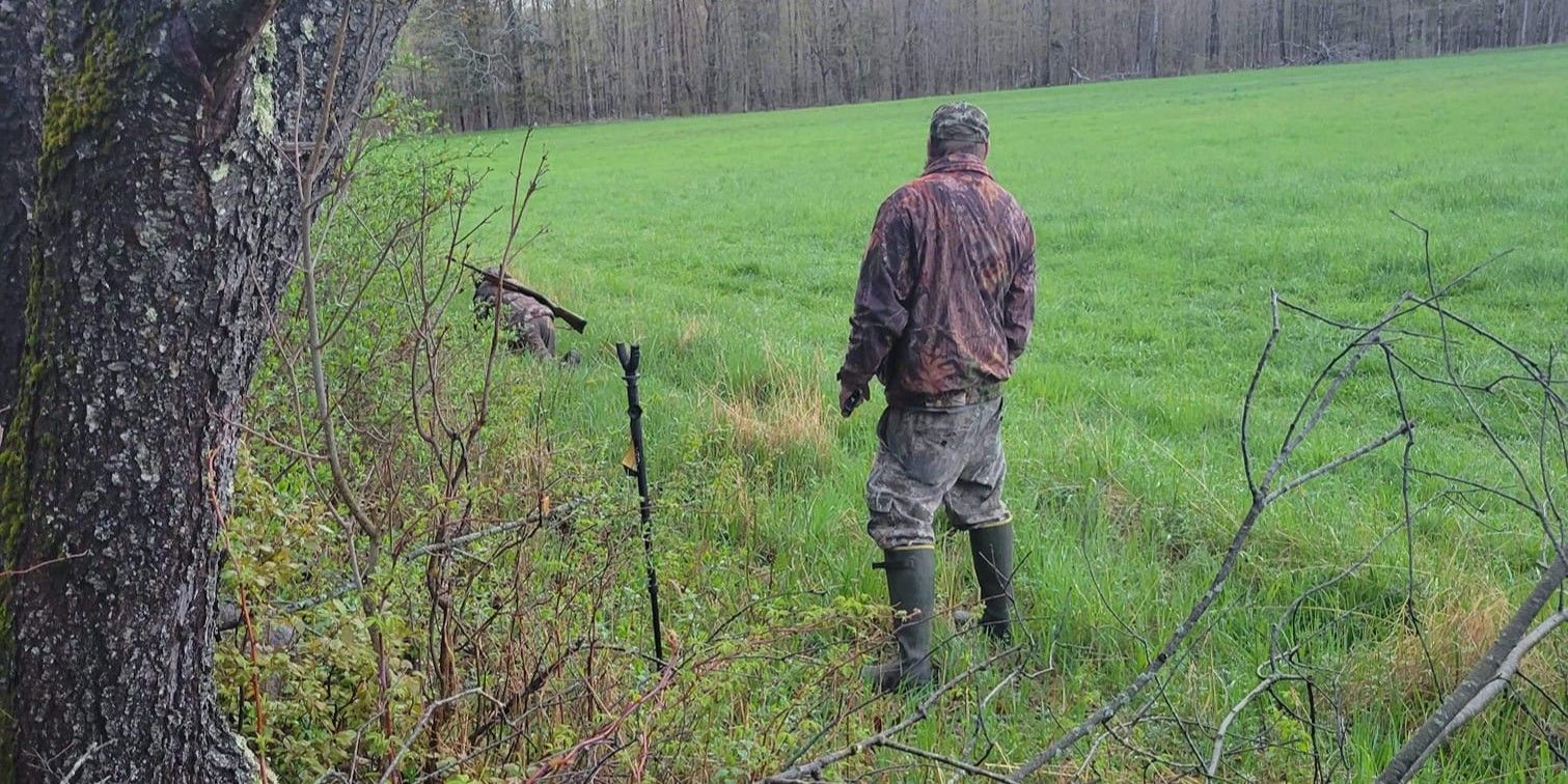 Palmer's Guided Hunts Maine Moose Hunting | Moose Hunting With Lodging And Meals hunting Active hunting