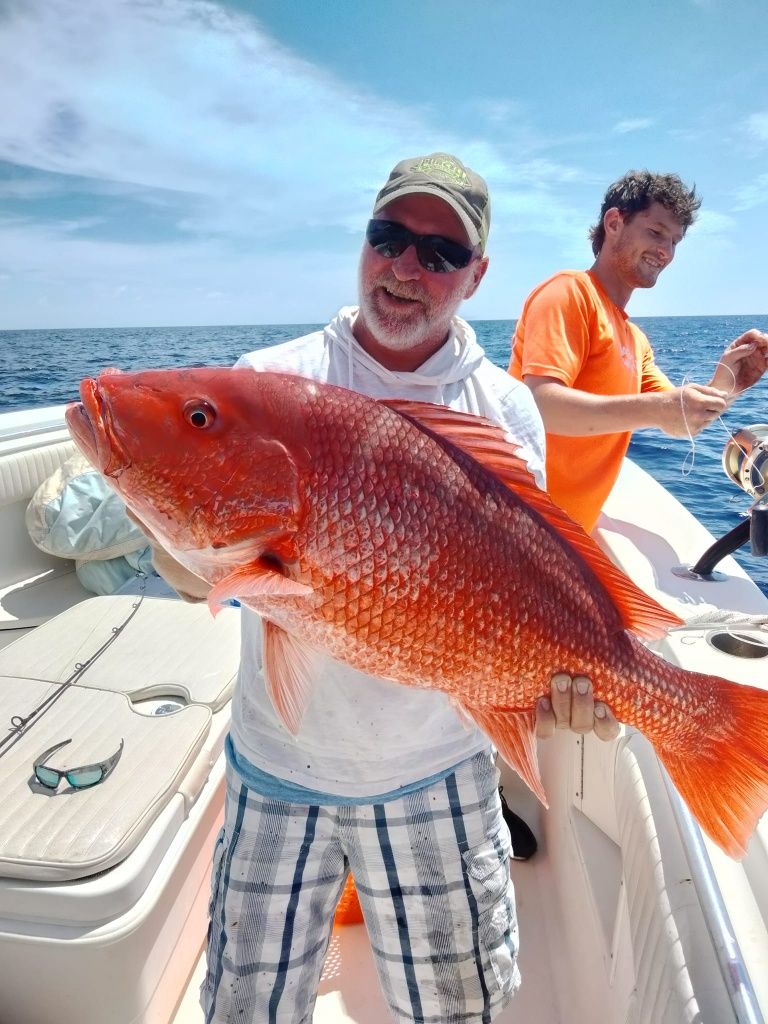 Aces Up Fishing Charters Murrells Inlet, SC Bottom Fishing fishing Offshore