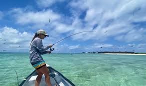 Vinod Outdoor Adventures Custom rate card for Saturday and Sunday - POS Bookings  fishing Offshore