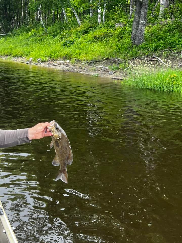 Maine Fishing Hunting Trips Charters All Season