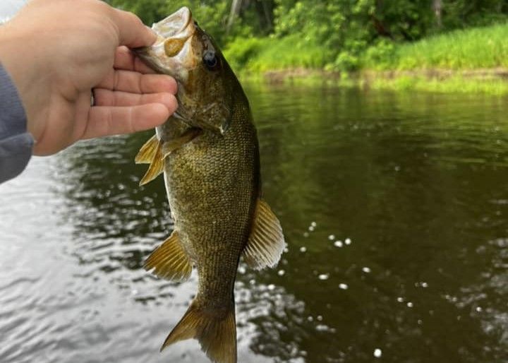 Top-Rated Maine Lake Fishing for Bass & Perch