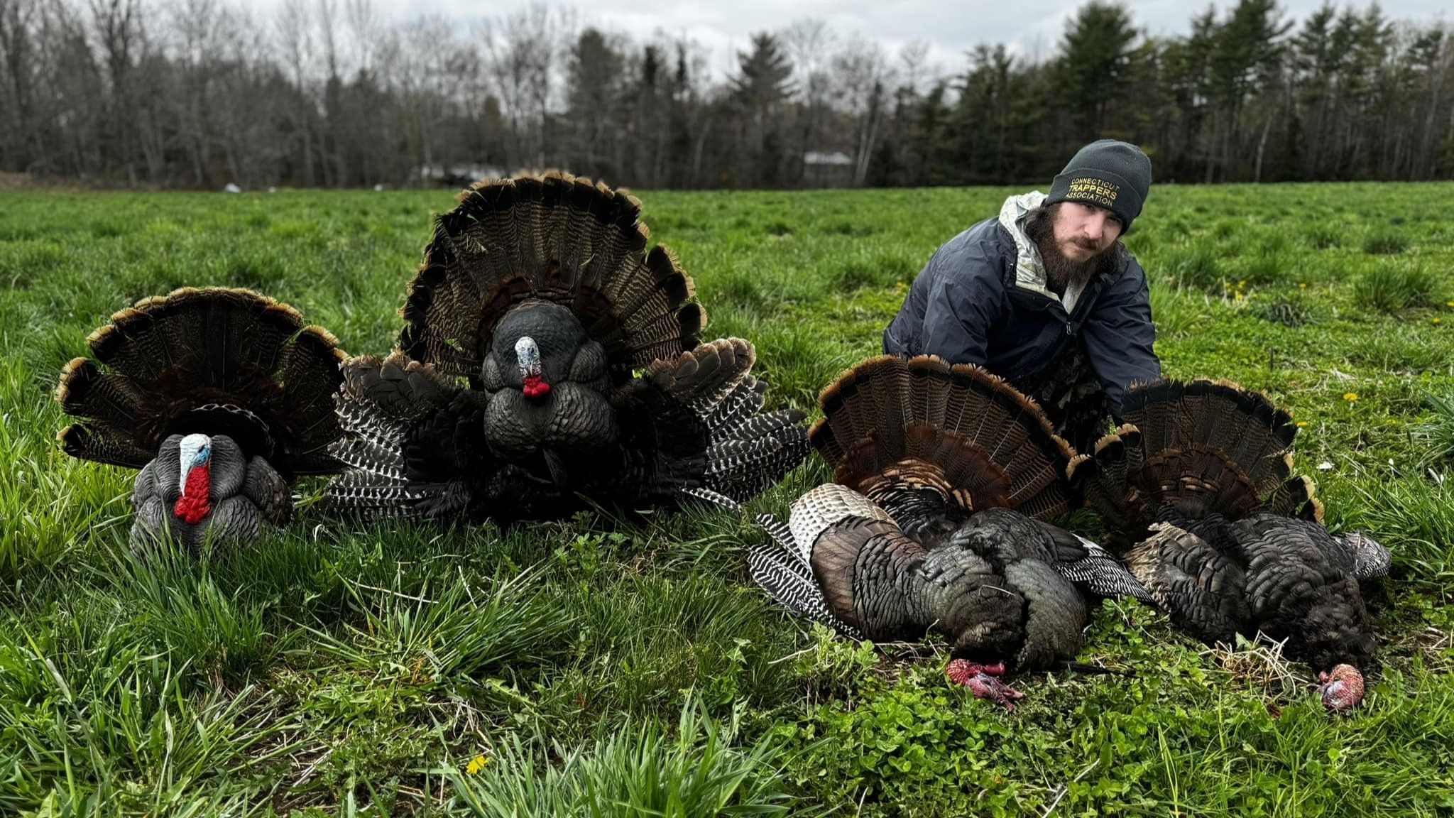 Top Maine Spring Turkey Hunt with Black Stream