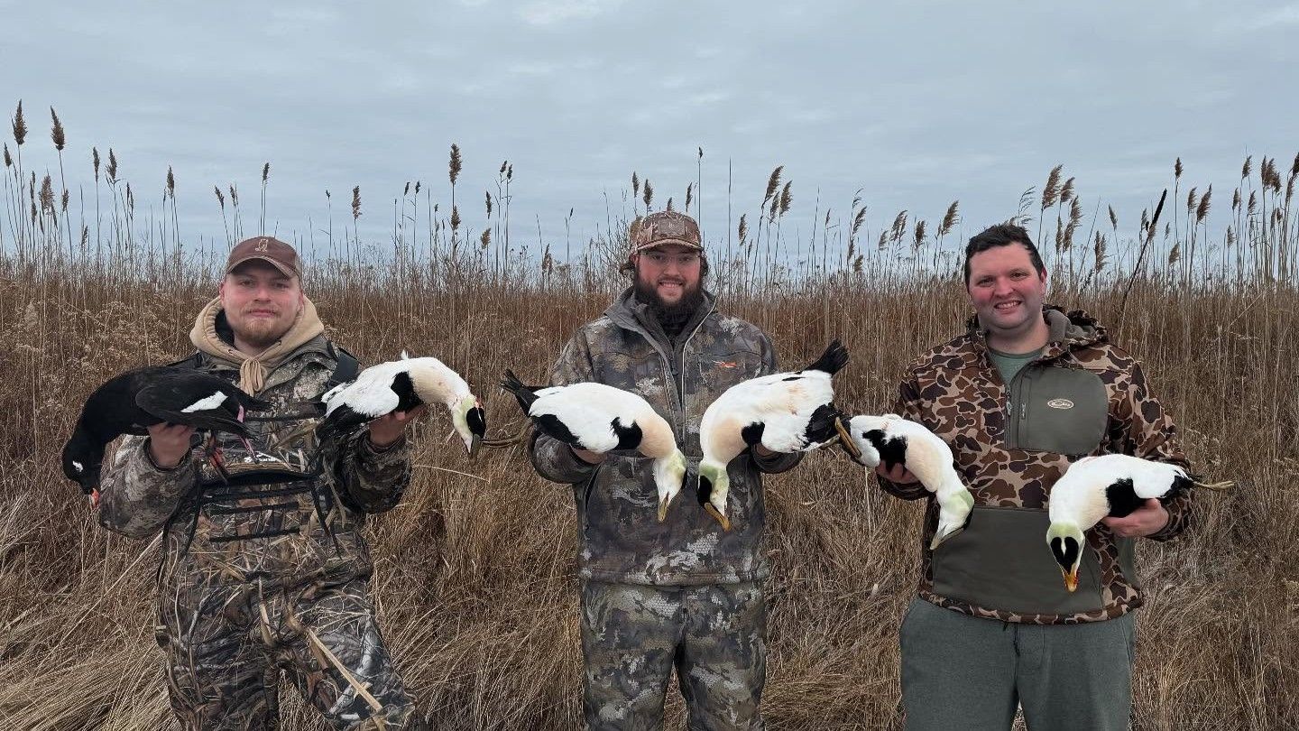 Elite Sea Duck Hunt in Belfast, Maine
