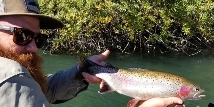 Learn Trout Fishing in Redding's Best Rivers