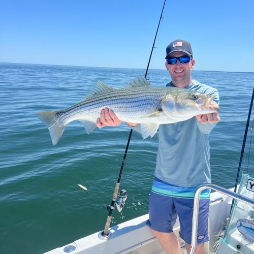 Endorfin Fishing LLC