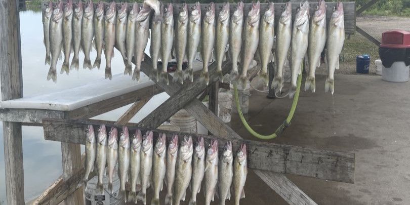 Lake Erie Walleye Fishing Charters Charter Fishing in Lake Erie |  4 Hour Charter Trip fishing Lake