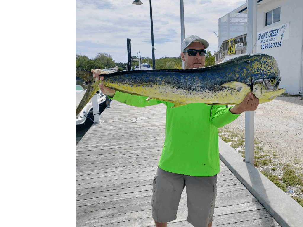 Salty Morada Charters 6-Hour Offshore Islamorada Fishing Trip in FL fishing Offshore