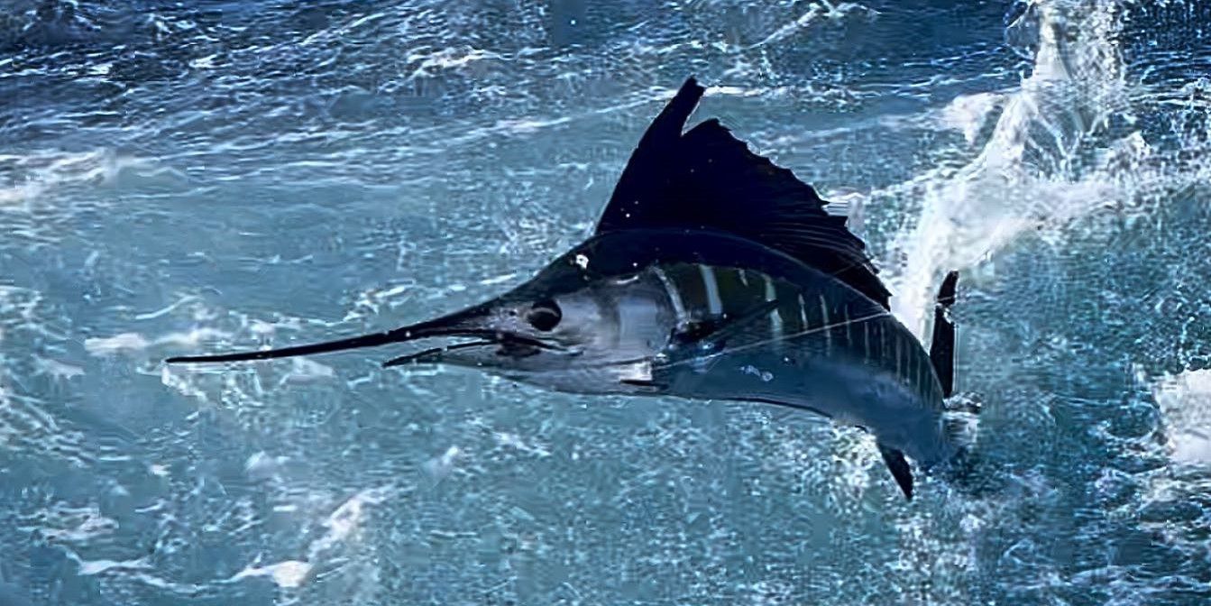 Killin' Time Charters Charter Fishing Florida | 10 Hour Swordfish Charter Trip fishing Inshore