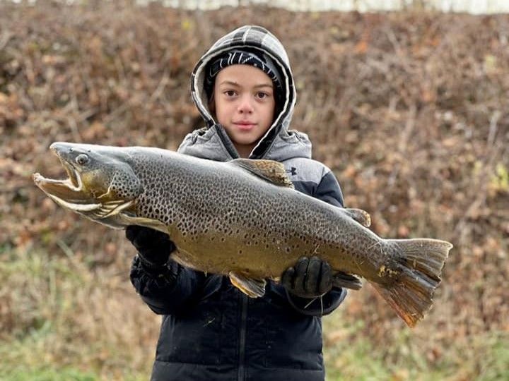 Expert-Guided NY Creek Fishing | Angling Edge