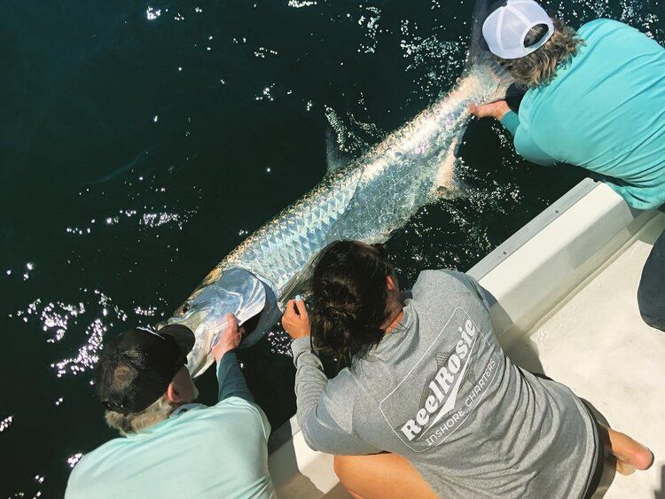 Reel Rosie Charters Tarpon Tango: Experience the Thrill of Tarpon Fishing at Its Finest! fishing Inshore