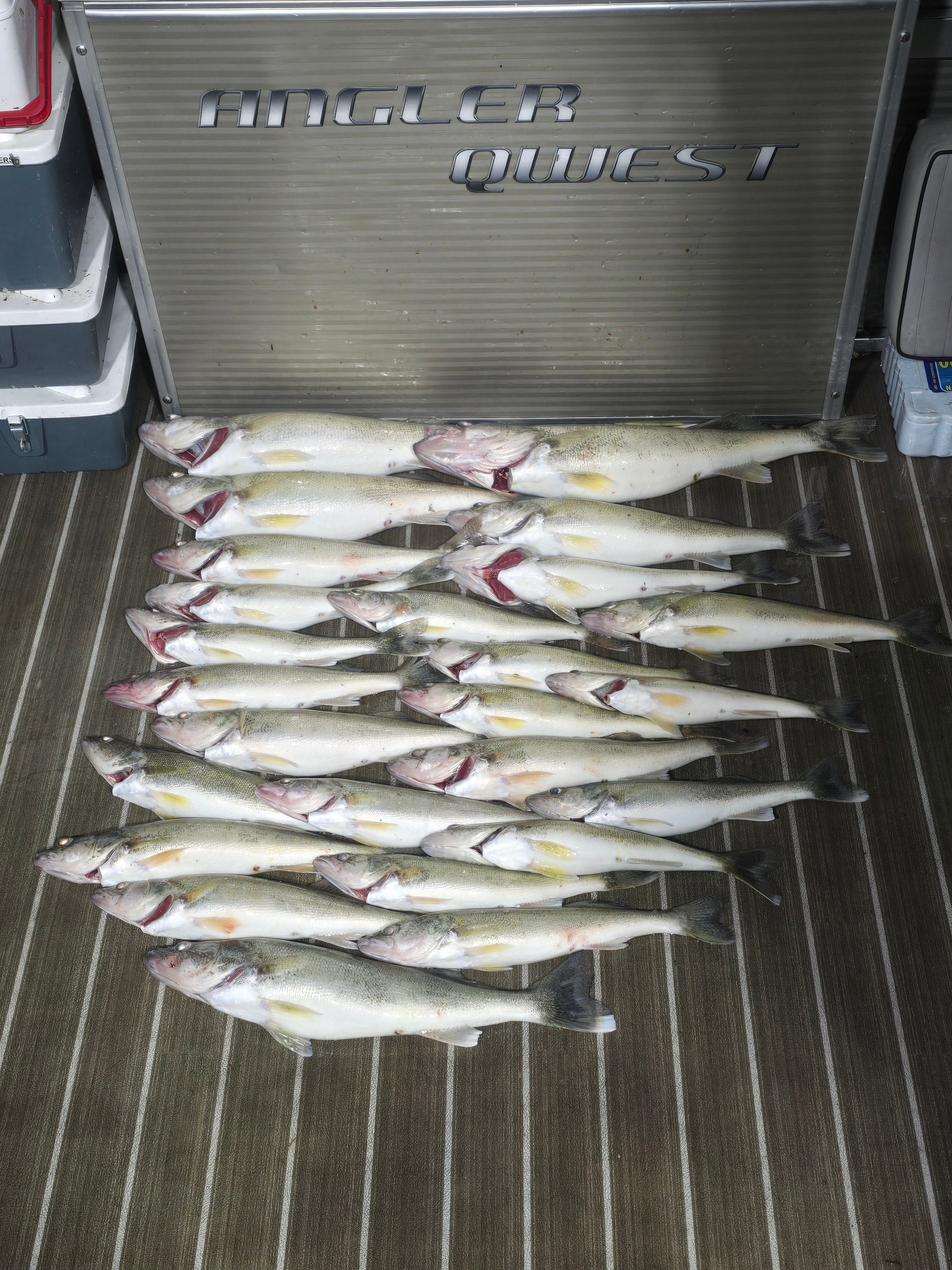 Savage Pursuit Guide Service TROPHY WALLEYE- MONROE | 10 Hour Charter Trip - Monroe, Mi.  fishing Lake