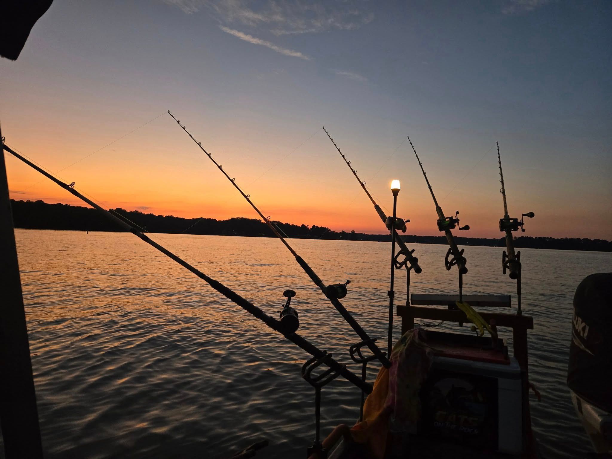 High Rock Lake's Ultimate Catfish Learning Trip