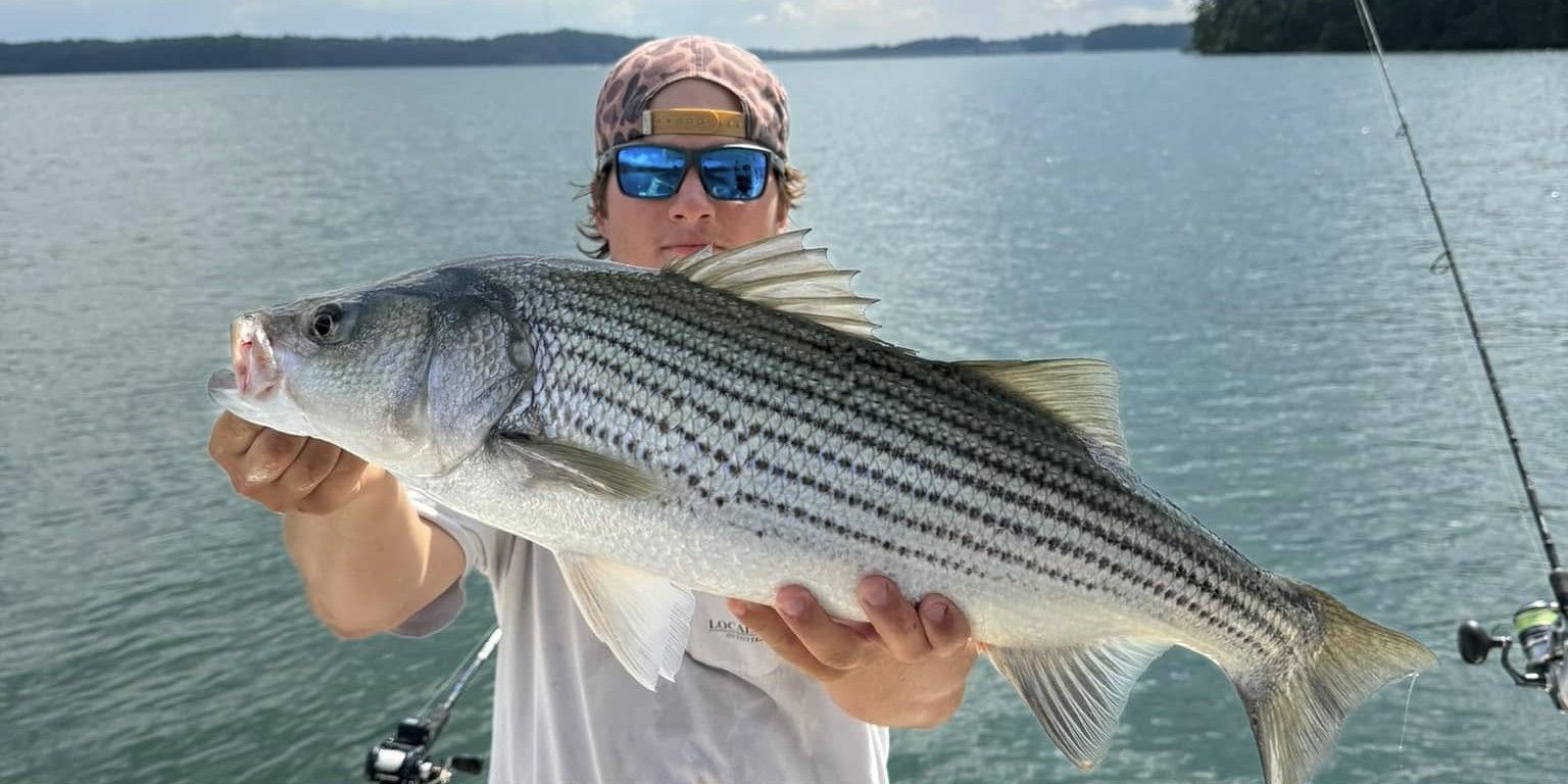 Lake Lanier 6-Hour Bass Fishing | Tate's Charters