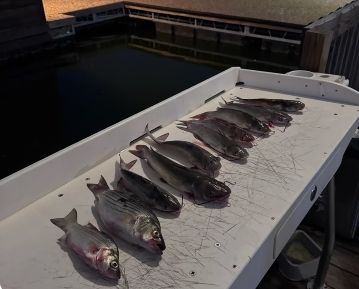 Night Catfish Lake Trip Rowlett TX Lead Slingers