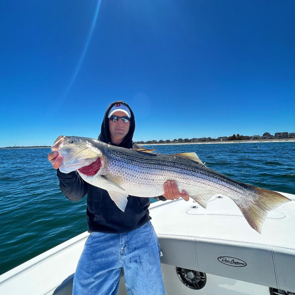 Pointe N Shoot Sport Fishing 5-Hour Boston Harbor Fishing – Striper / Bluefish fishing Inshore
