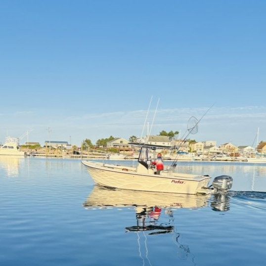 Maine Lobster Trapping: Hands-On Seafood Adventure