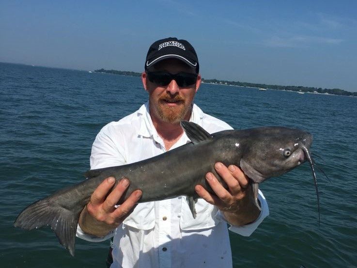 Catfish in Lake Erie, OH