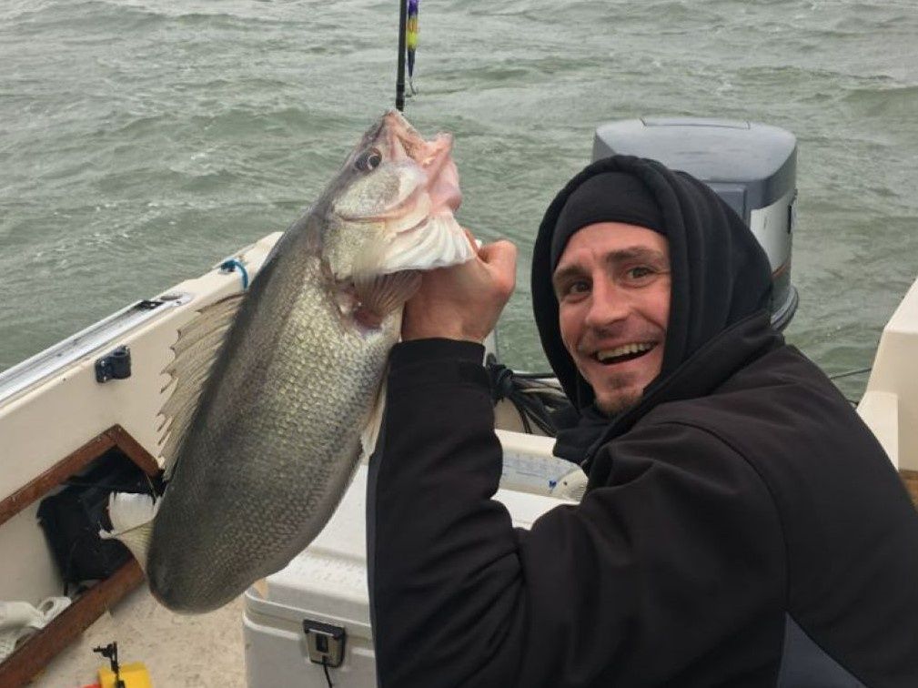 Large Walleye in Lake Erie