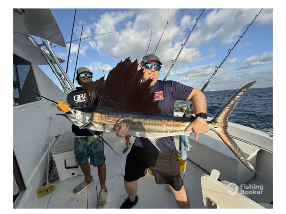 World-Class Sailfish Charter in Fort Lauderdale