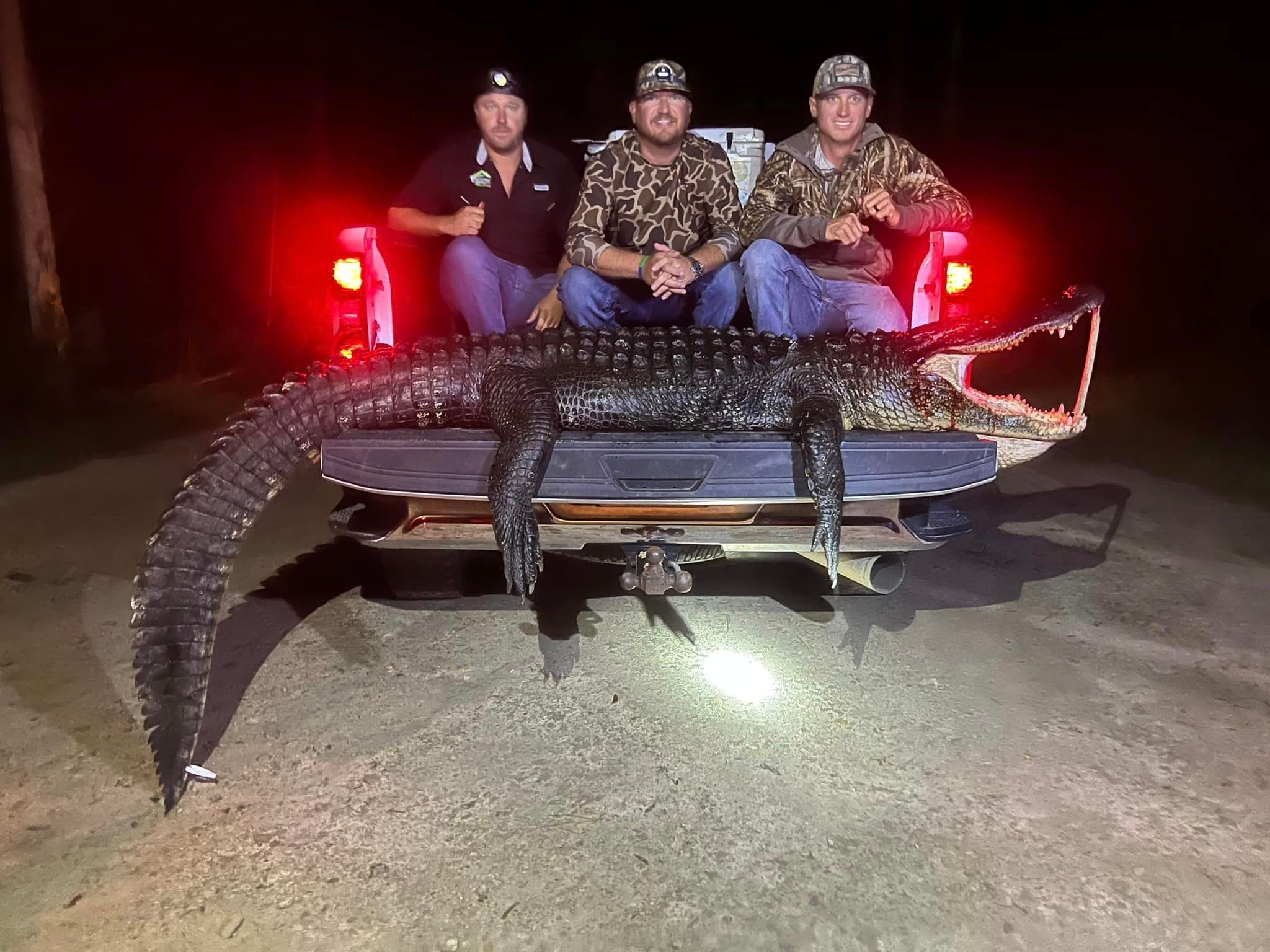 Top-Rated Alligator Hunt in Panacea | Inshore Trip