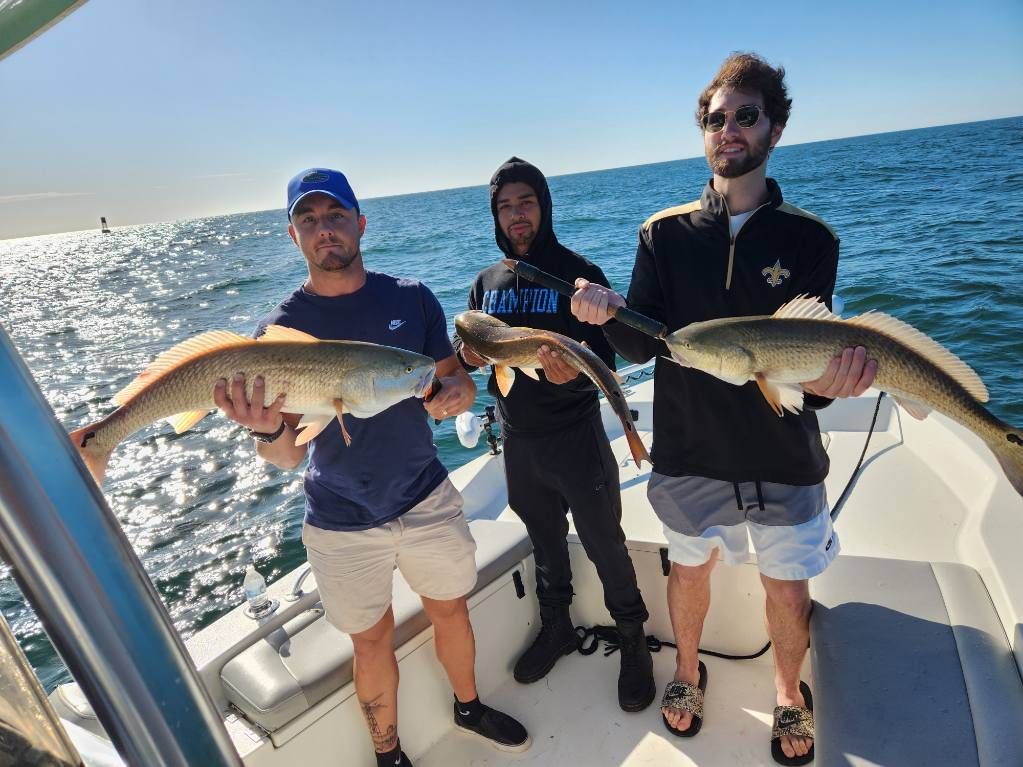 Redfish Fishing in Pensacola fishing report coverpicture