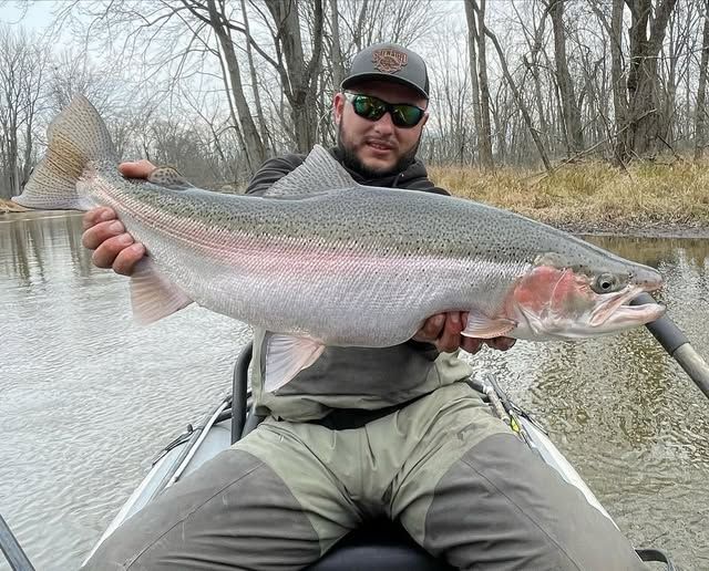 Elite Michigan River Fishing: Trout & Salmon