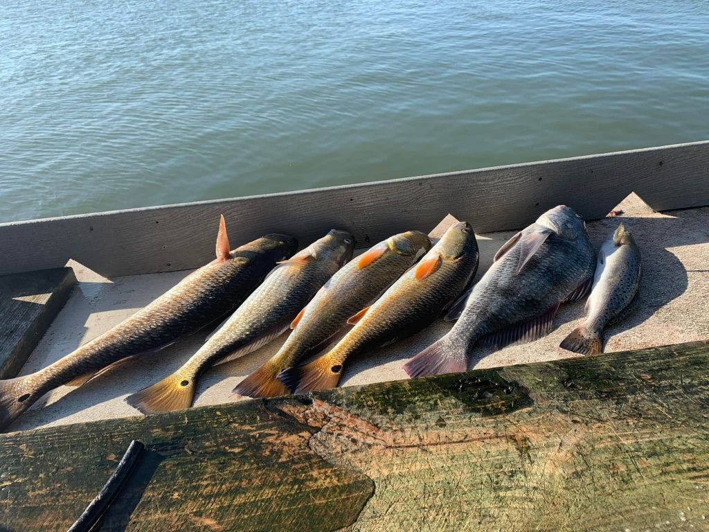 Inshore fishing charters in Texas