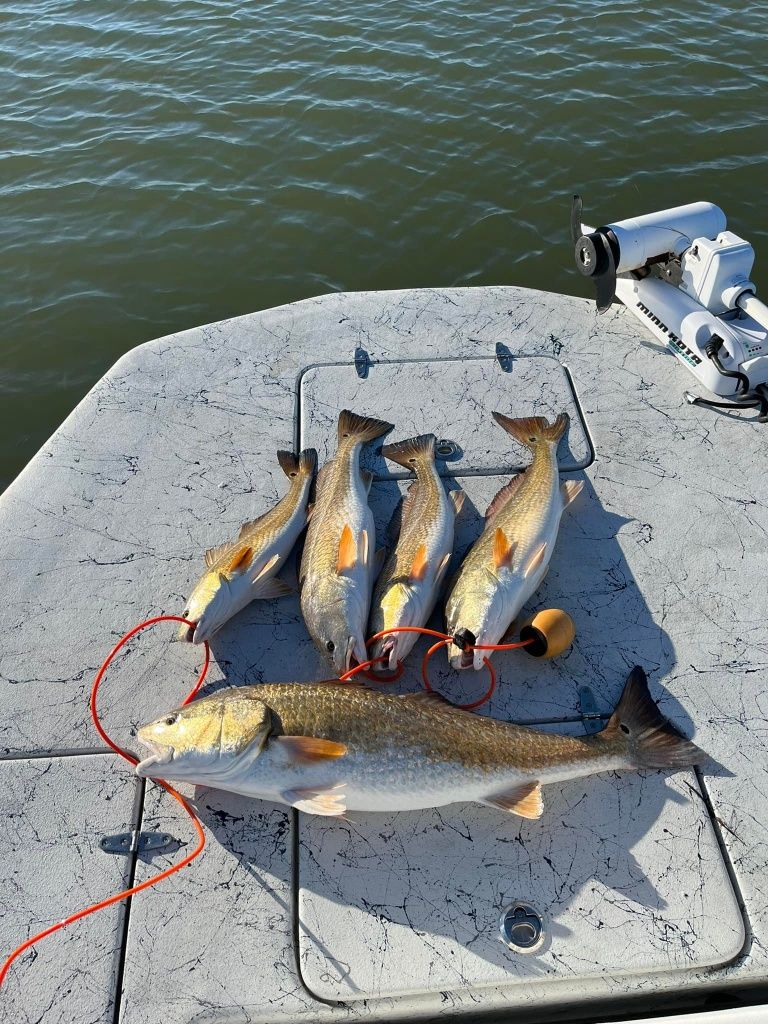 Fishing For Redfish In Texas
