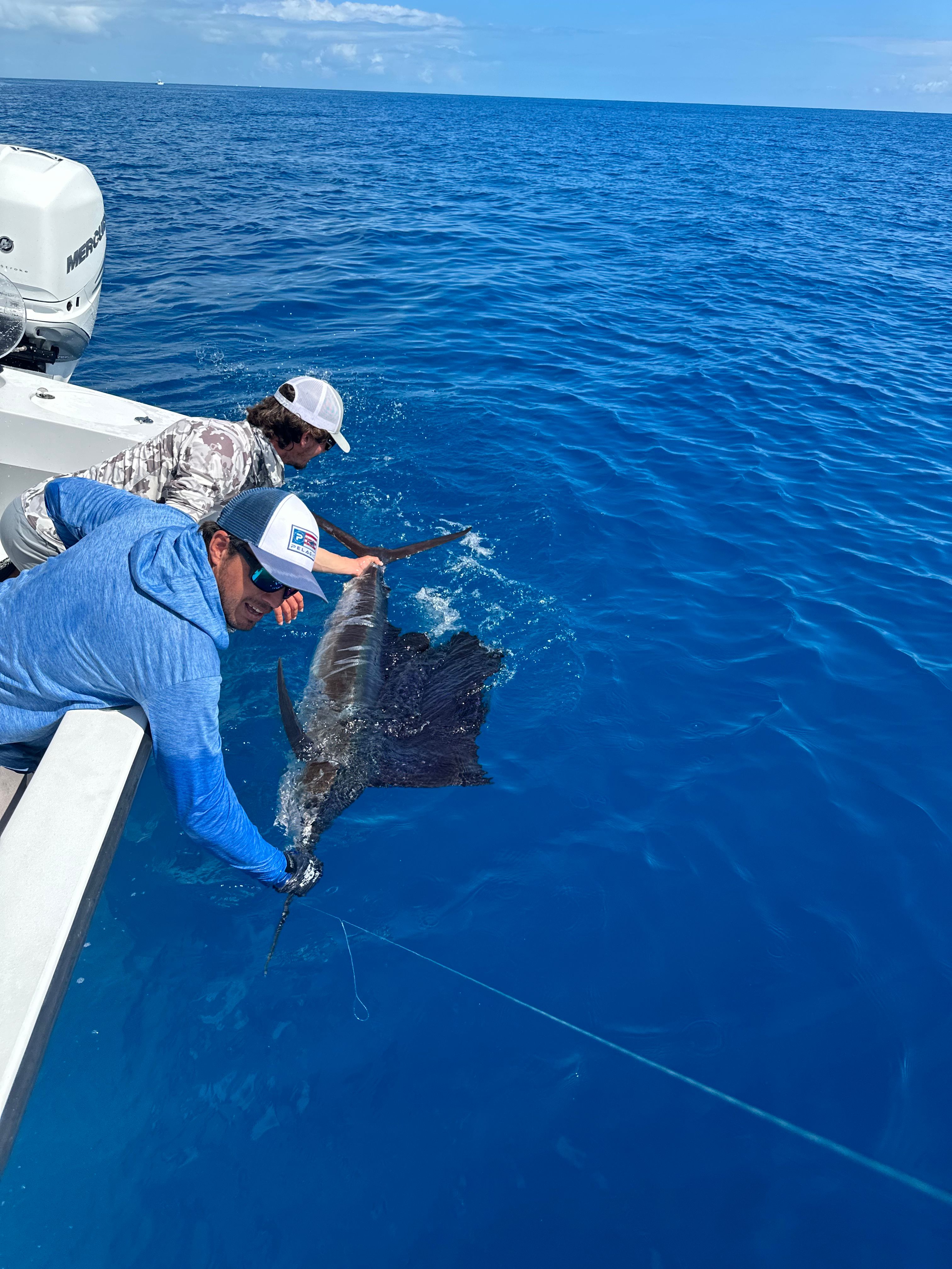 Down Low Sportfishing Fishing Charters in Key West | Full Day Fishing Charter fishing Offshore