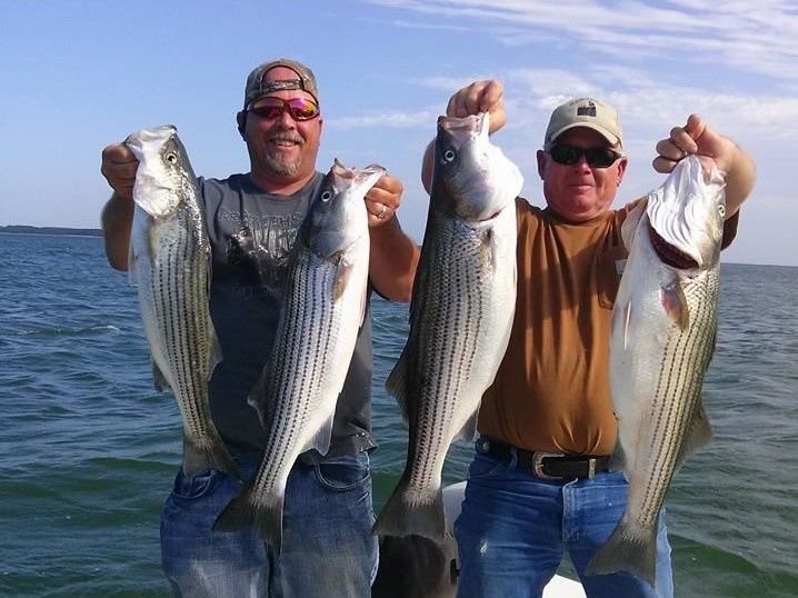 Lake Texoma Fishing Striped Bass 2022