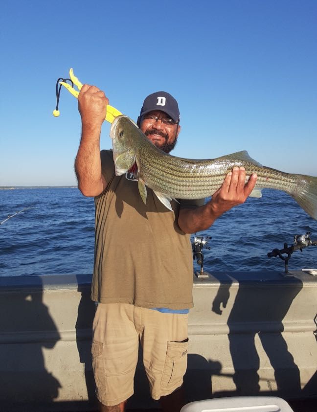 Lake Texoma fishing, Caught this large Stripers!