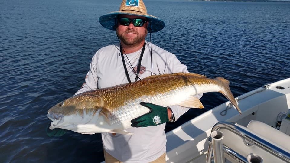 Massive Redfish Fishing In New Bern, NC
