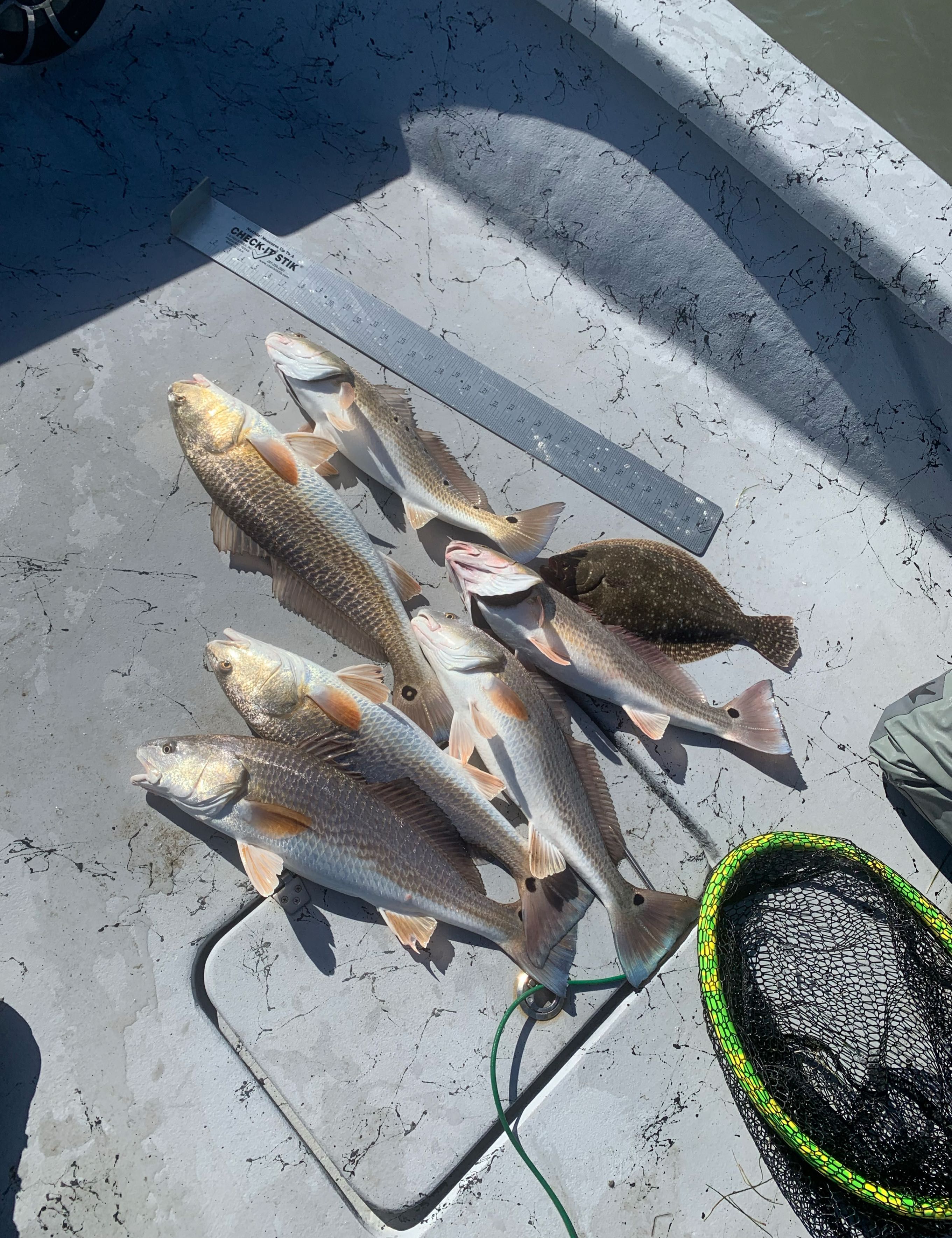 D Reel Guiding Corpus Christi Fishing charters | Full Day Trip fishing Inshore