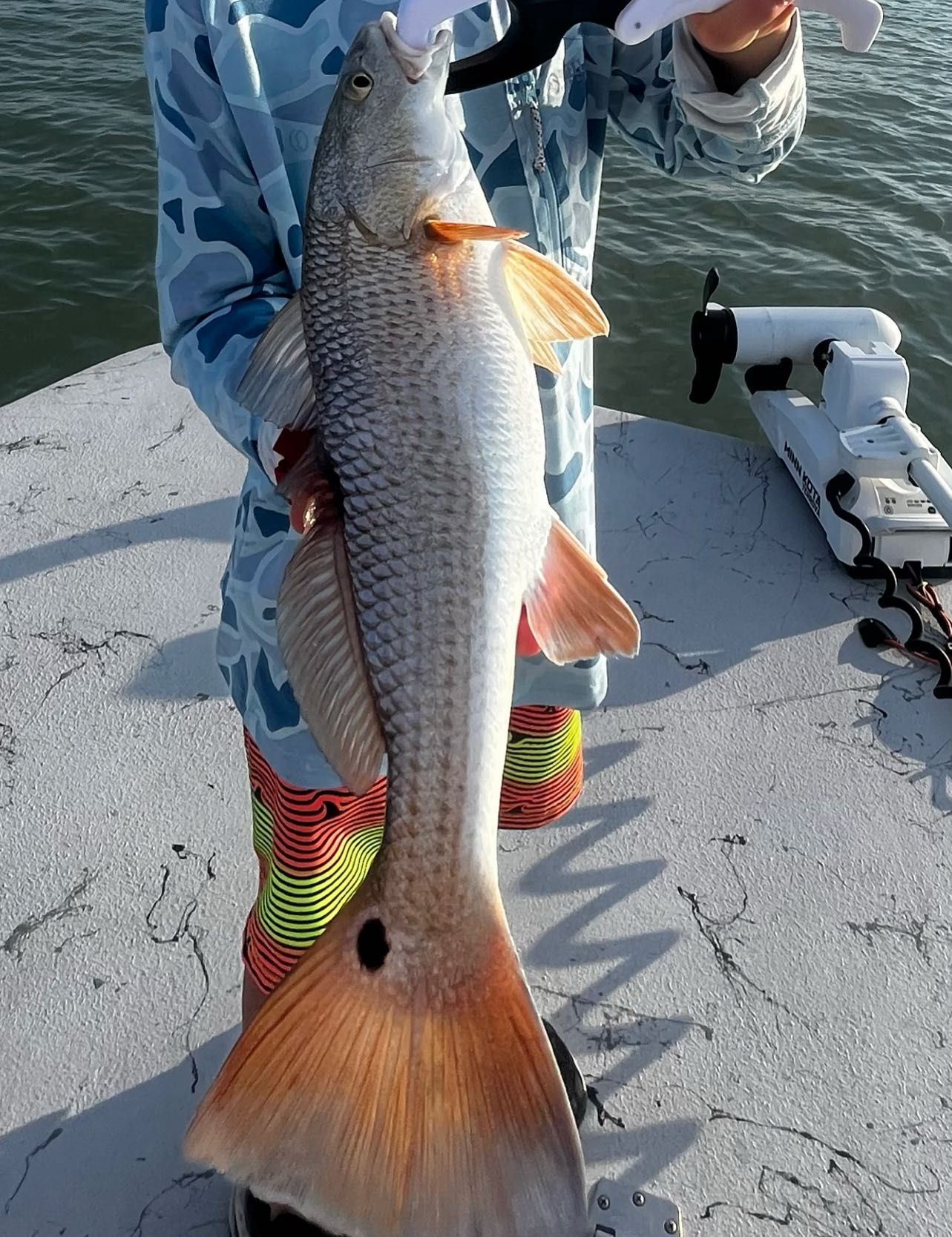 D Reel Guiding Texas Fishing Charters 1/2 Day Trip (PM) fishing Inshore