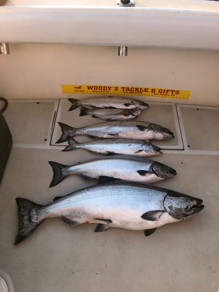 NYS Fishing for Chinook and Coho