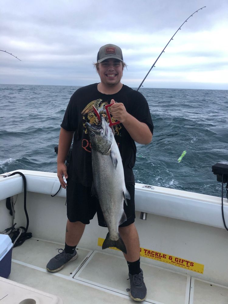 Chinook Caught in Lake Ontario Sport Fishing