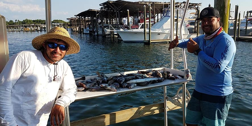 Scalloping & Tours with Seadaddys Dive Center Charter Fishing Crystal River | Private 4 Hour Family Fishing  fishing Inshore