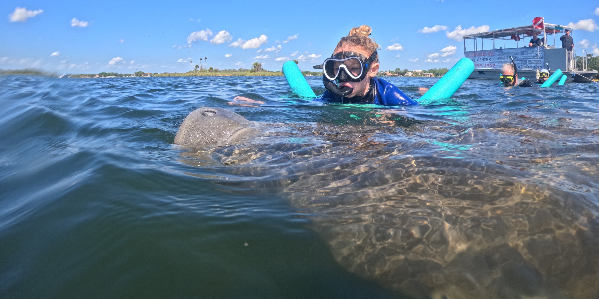 Scalloping & Tours with Seadaddys Dive Center Crystal River Manatees | Shared VIP All Inclusive Manatee Tour  water_sports Snorkeling